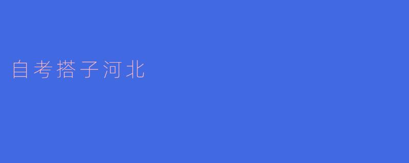 自考搭子河北:共筑梦想的学习之旅