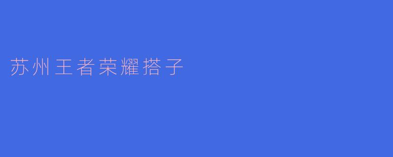苏州王者荣耀搭子