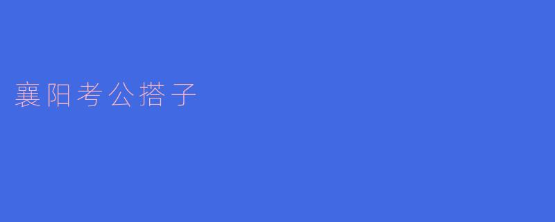 襄阳考公搭子的奋斗与梦想