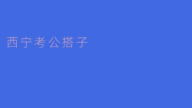 西宁考公搭子