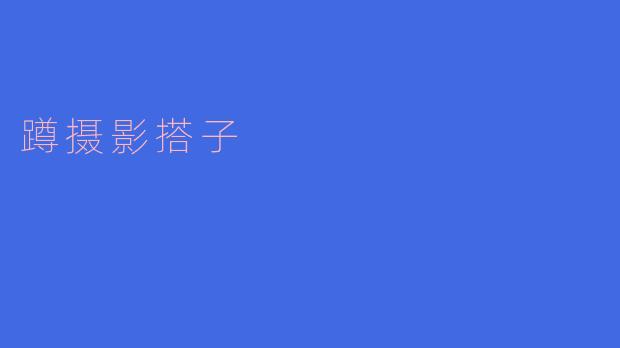 什么是“蹲摄影搭子”？****