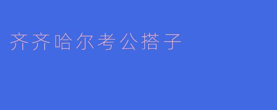 齐齐哈尔考公搭子主要是指什么?****