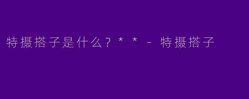 特摄搭子是什么？**