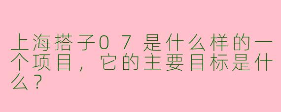上海搭子07是什么样的一个项目，它的主要目标是什么？