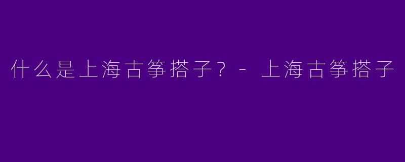 什么是上海古筝搭子?
