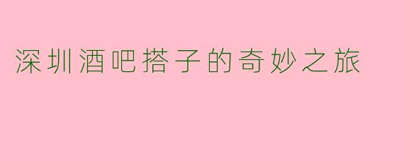 深圳酒吧搭子的奇妙之旅