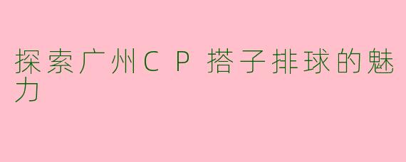 探索广州CP搭子排球的魅力