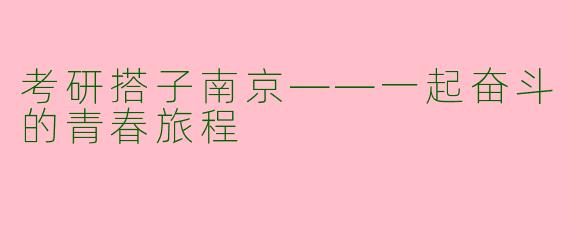 考研搭子南京——一起奋斗的青春旅程