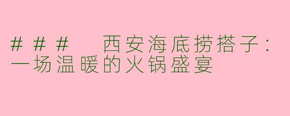 ### 西安海底捞搭子：一场温暖的火锅盛宴