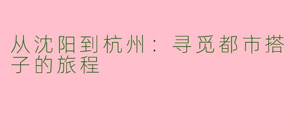 从沈阳到杭州：寻觅都市搭子的旅程