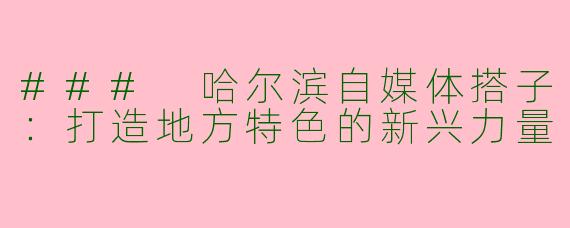### 哈尔滨自媒体搭子：打造地方特色的新兴力量