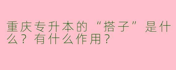 重庆专升本的“搭子”是什么？有什么作用？