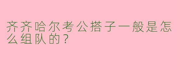 齐齐哈尔考公搭子一般是怎么组队的?