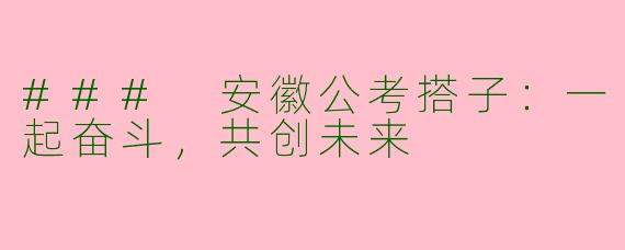 ### 安徽公考搭子：一起奋斗，共创未来