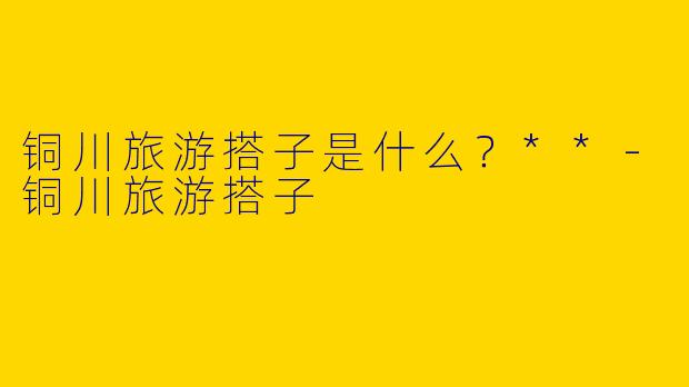 铜川旅游搭子是什么?**