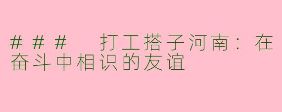 ### 打工搭子河南：在奋斗中相识的友谊