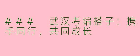 ### 武汉考编搭子：携手同行，共同成长