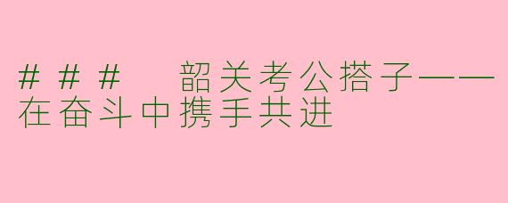 ### 韶关考公搭子——在奋斗中携手共进