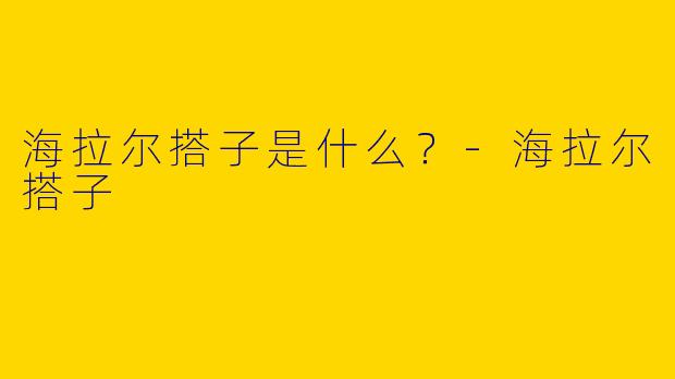 海拉尔搭子是什么？