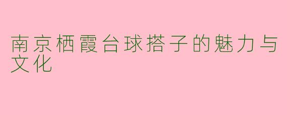 南京栖霞台球搭子的魅力与文化