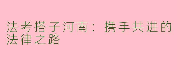 法考搭子河南：携手共进的法律之路