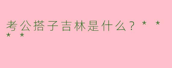 考公搭子吉林是什么？****