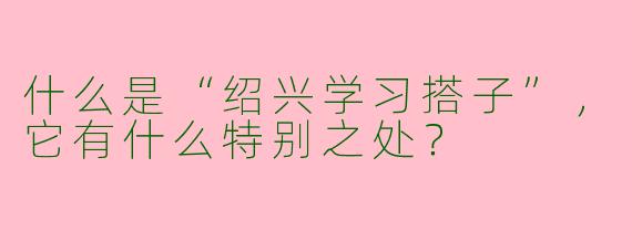 什么是“绍兴学习搭子”，它有什么特别之处？