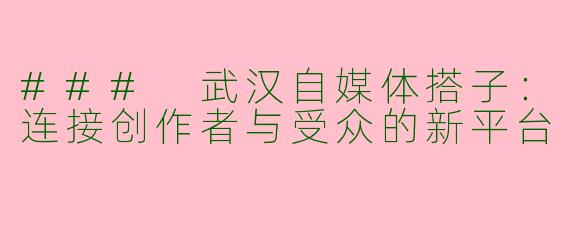 ### 武汉自媒体搭子：连接创作者与受众的新平台