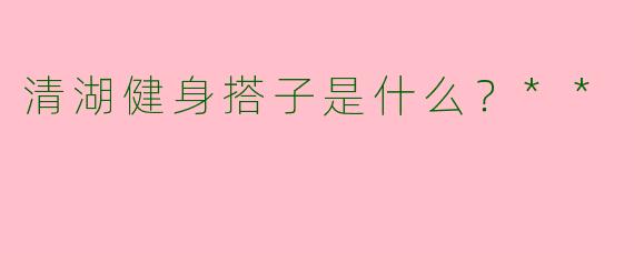 清湖健身搭子是什么？**