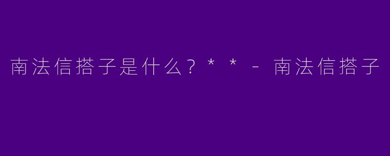 南法信搭子是什么?**