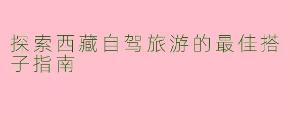 探索西藏自驾旅游的最佳搭子指南