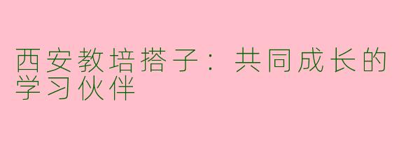 西安教培搭子：共同成长的学习伙伴