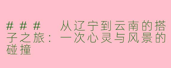 ### 从辽宁到云南的搭子之旅：一次心灵与风景的碰撞