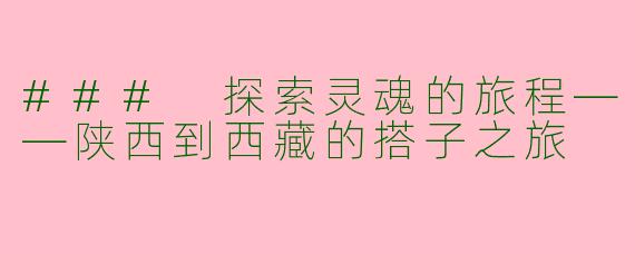 ### 探索灵魂的旅程——陕西到西藏的搭子之旅