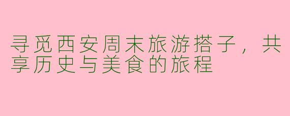 寻觅西安周末旅游搭子，共享历史与美食的旅程