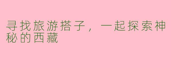 寻找旅游搭子，一起探索神秘的西藏