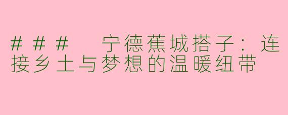 ### 宁德蕉城搭子：连接乡土与梦想的温暖纽带