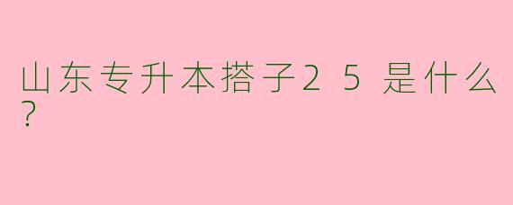 山东专升本搭子25是什么?