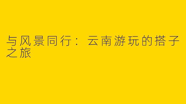 与风景同行：云南游玩的搭子之旅