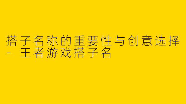 搭子名称的重要性与创意选择-王者游戏搭子名