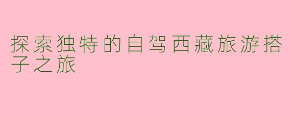 探索独特的自驾西藏旅游搭子之旅