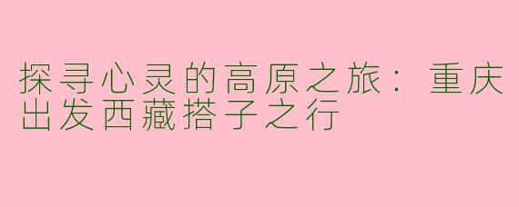 探寻心灵的高原之旅：重庆出发西藏搭子之行