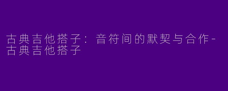 古典吉他搭子：音符间的默契与合作-古典吉他搭子