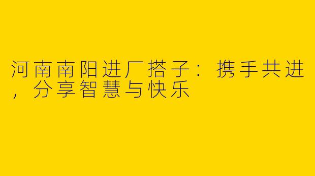 河南南阳进厂搭子：携手共进，分享智慧与快乐
