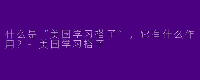 什么是“美国学习搭子”，它有什么作用？