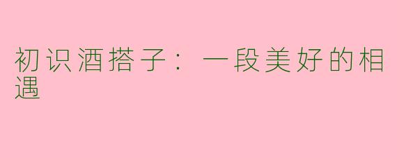 初识酒搭子：一段美好的相遇
