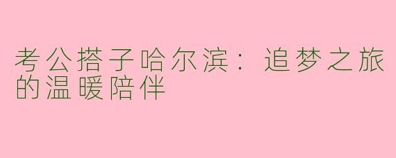 考公搭子哈尔滨：追梦之旅的温暖陪伴