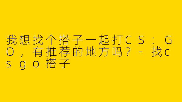 我想找个搭子一起打CS:GO，有推荐的地方吗？