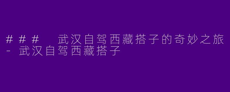 ### 武汉自驾西藏搭子的奇妙之旅