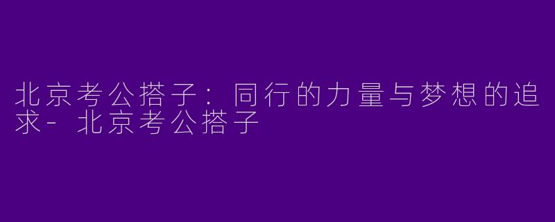 北京考公搭子:同行的力量与梦想的追求